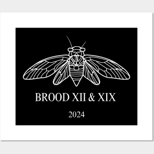 Cicada Brood XIII Brood XIX 2024 Posters and Art